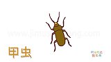 动物简笔画大全，画一只土黄色甲虫简笔画