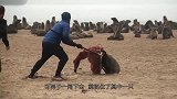 男子在沙滩疯狂捉海豹，人们却纷纷夸赞，怎么回事