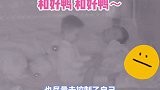 夫妻睡前小吵，2岁宝宝凌晨拉爸妈手求和好，父母吵架伤害最大的是孩子，希望每个家庭互敬互爱