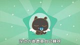焦糖猫的99个育言 孩子该“分床”吗？爸妈应该这样做