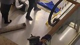 90后整顿职场，其实她已经很努力了