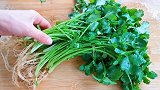 香菜吃不完别直接放冰箱保存，简单2步，不烂不黄，香菜能吃半年