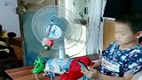 自从儿子放假在家了，眼前这一幕，真是懒出新高度