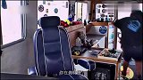 别看水手长的胖，但力大无比！拿着鱼叉一甩就扎中鱼！
