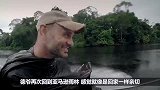 单挑秘境德爷重返亚马逊丛林，烤鱼野生凤梨吃到撑！纪录片