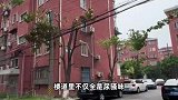 上海阿姨把房给流浪猫住熏坏邻居，自己租房住楼下：喷香水就好了