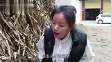 姑娘捡个乞丐回家，父亲不嫌弃认他做女婿，1年后母亲上门暖心了