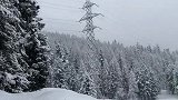 忽然下的一场雪