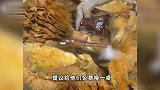 顾客称吃野生菌火锅发现活蚂蚁和蛆虫，店长：怀疑敲诈