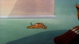 猫和老鼠：当杰瑞用隐形墨水洗澡后，汤姆怀疑自己见鬼了！