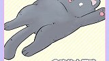 不挑食这猫可以养