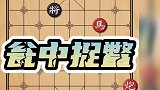 瓮中捉鳖 马象炮兵用诡计擒住黑方的车 每个子的工作都不一样