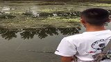 小伙搜了一个上午，终于等到久违的大黑漂，太兴奋了！