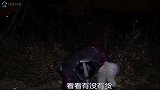 小斗半夜下网抓海鲜，第二天网上连上大货，分给摄影师一半