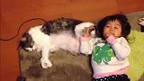 萌娃非要拽着猫咪后腿，猫猫忍无可忍，反抗开始了