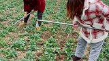 不想干活的学着点别说我没教你