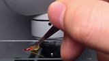 血橙里面红色的是什么？花青素为什么是红色？健康 涨知识