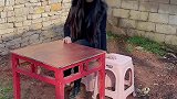 感谢所有兄弟姐妹的支持