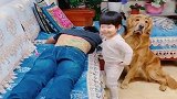 家里的小霸王一来，老爸和小狗就成了这样，小狗一脸委屈，太逗了