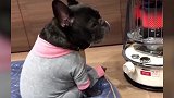 你这是什么眼神啊，还这么的落寞，还有点像笑啊！