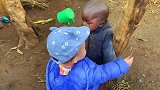 老外非洲肯尼亚的孩子脸上每天都有苍蝇惦记，卫生还得改善呀！