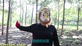 奥特曼真人版：迪迦和绿巨人被怪兽暴打，难道二人要死了吗？