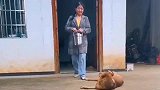 小奶狗到田间给咱爸比送饭去