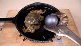 1500℃岩浆能烤熟螃蟹吗？老外一番操作后口水直流！