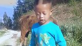 小家伙一边放牛一边自嗨，唱得真投入，前途无量啊！