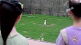 公主为达到目的，不惜利用孩子真是狠心