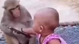 猴子和萌娃在一起会发生什么