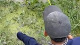 说出来你们可能不信，钓鱼被大鱼抽耳光了