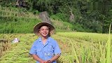 打完谷子，回家炒一锅老腊肉，再煮一锅洋芋饭，虽然累但很快乐