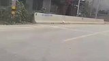 这大鹅是从铁锅炖逃出来的吧