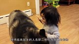 熊孩子虐待狗狗，幸得好心人救助，可怜的小家伙