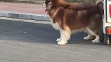 他看到了什么