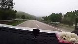 新手上高速，看见锥桶不知道减速！
