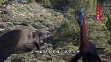 福建首次发现恐龙足迹群，结束了没有恐龙存在的历史！