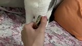 往后的日子看见打火机就扇