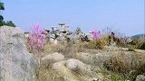英雄诀：朱棣与徐妙云互诉心事，朱棣决定请皇上将徐妙云赐婚给他