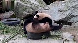这是谁找的擂台啊，快给我出来！