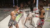 UFC-15年-UFC Fight Night 69：女子草量级冠军战耶德尔泽西克vs佩内-全场