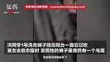 男生把裤子挂寝室阳台半个月忘收，裤子里竟多了一个鸟窝