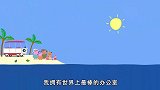 小猪佩奇：各种各样的海星，颜色也不一样，果然有派大星！