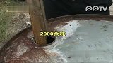 地沟油制售产业链跨四省 公安部门全力打击