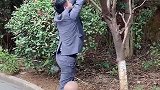 真是长江后浪推前浪，爸爸够不着树上的东西，萌娃成功拿下来了！