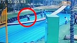 56岁男子玩“网红摇摆桥”坠落气垫后身亡 家属拒绝尸检
