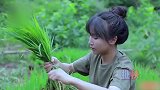 李子柒把日子过成一首诗！跟着她看水稻的一生，一帧一帧美如画