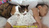 猫咪看护睡觉的小主人，太有爱心了