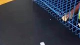 这是一只上过学的鹦鹉吧